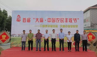 大麻稻田的新生機(jī) 農(nóng)副產(chǎn)品的多元開(kāi)發(fā)